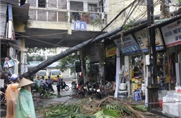 Hà Nội: Mưa to, gió giật gây ngập đường, đổ cây